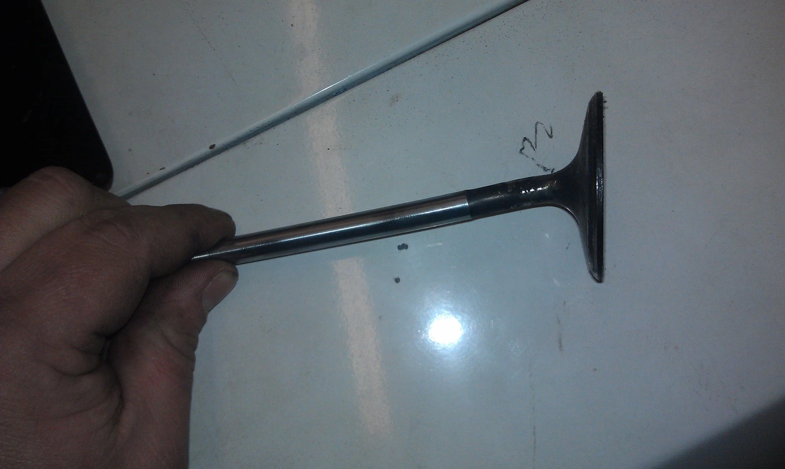 IMAG2140.webp