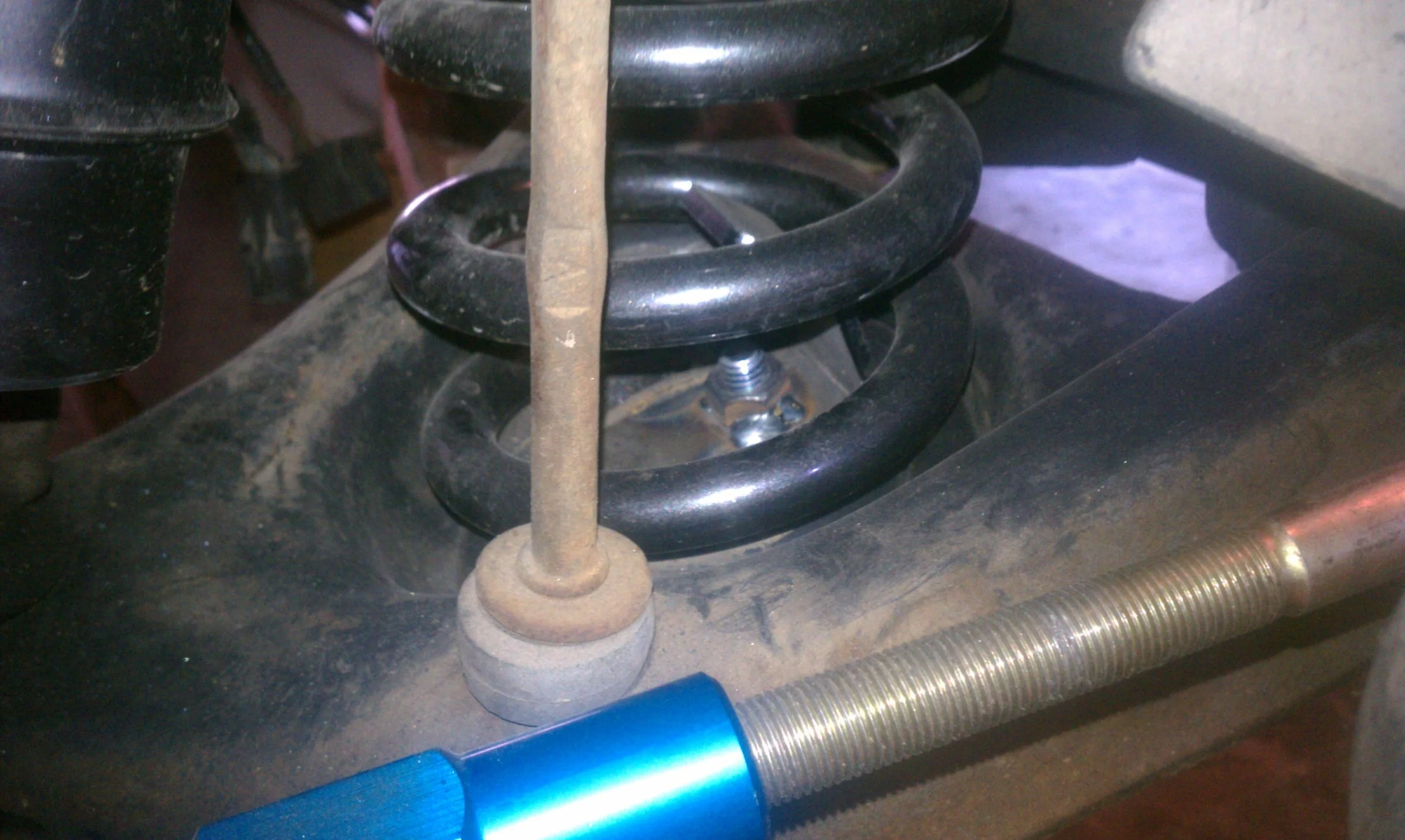 IMAG2671.webp