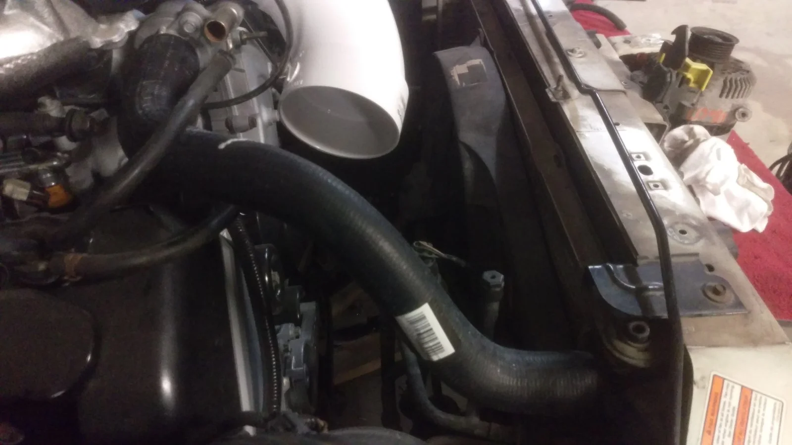 IMAG5732.webp