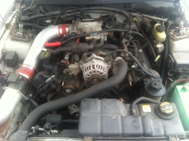 image-4.webp