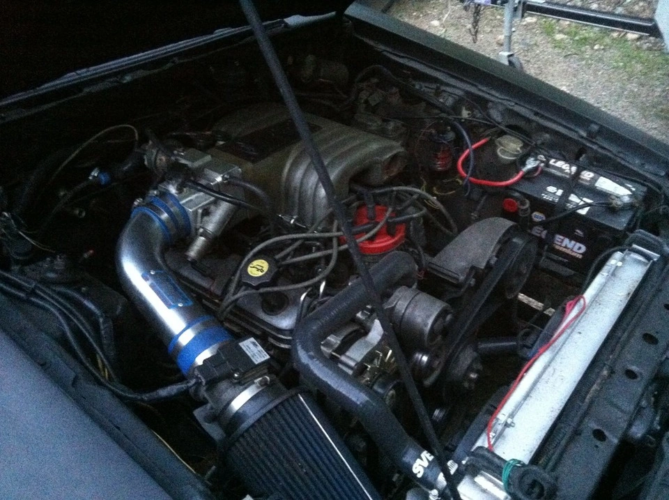 image-5.webp