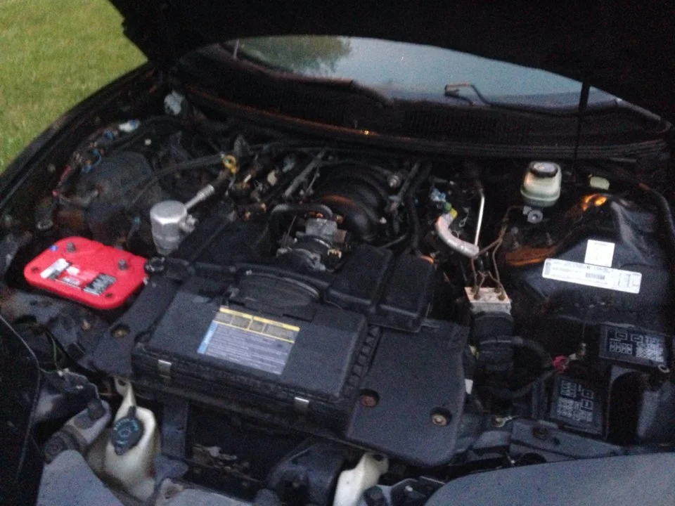 image.webp