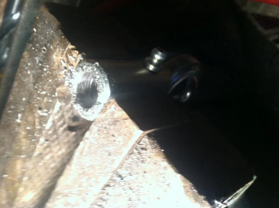 image.webp
