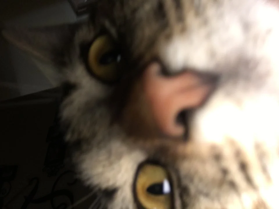 image.webp