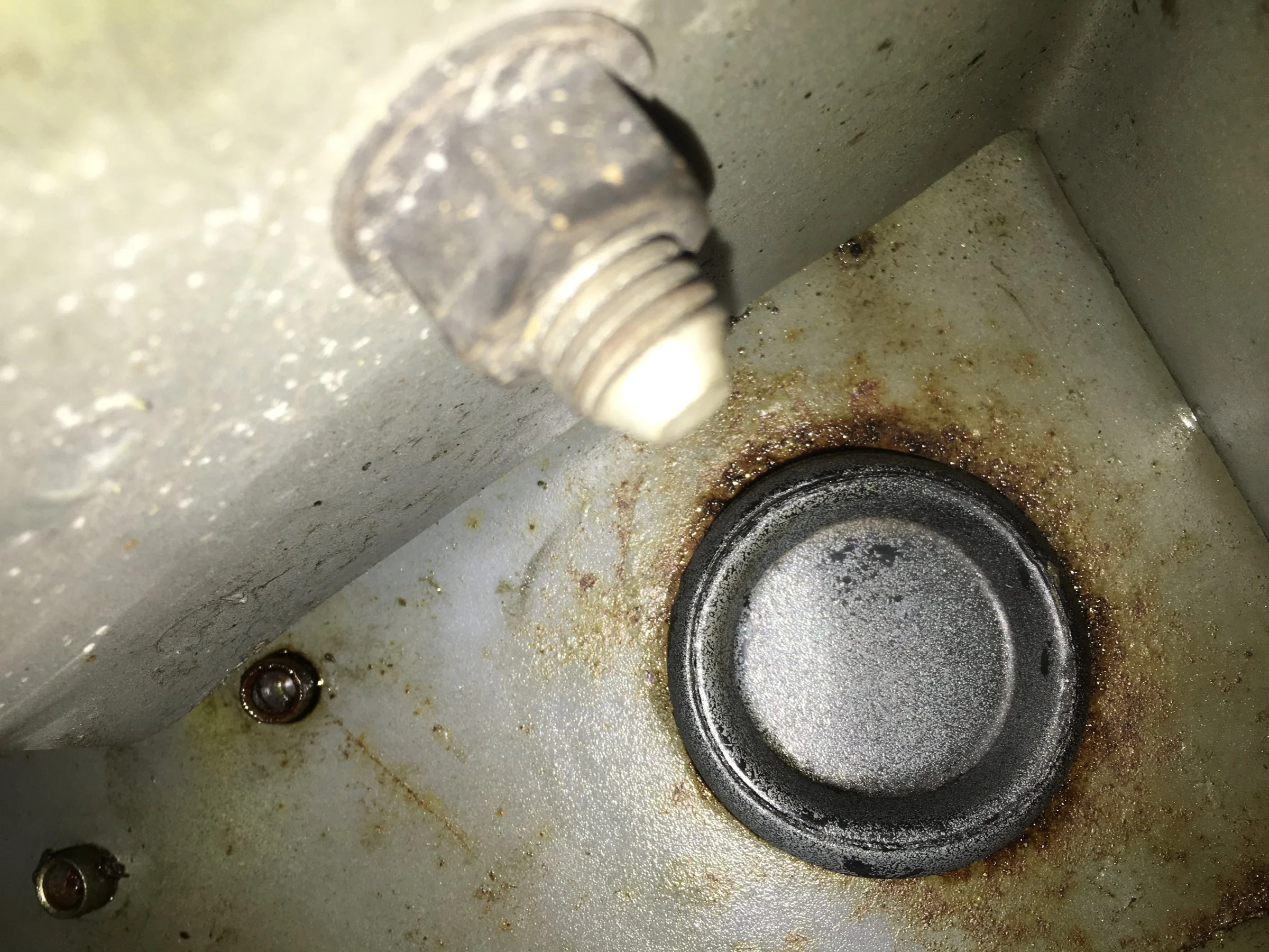 image.webp