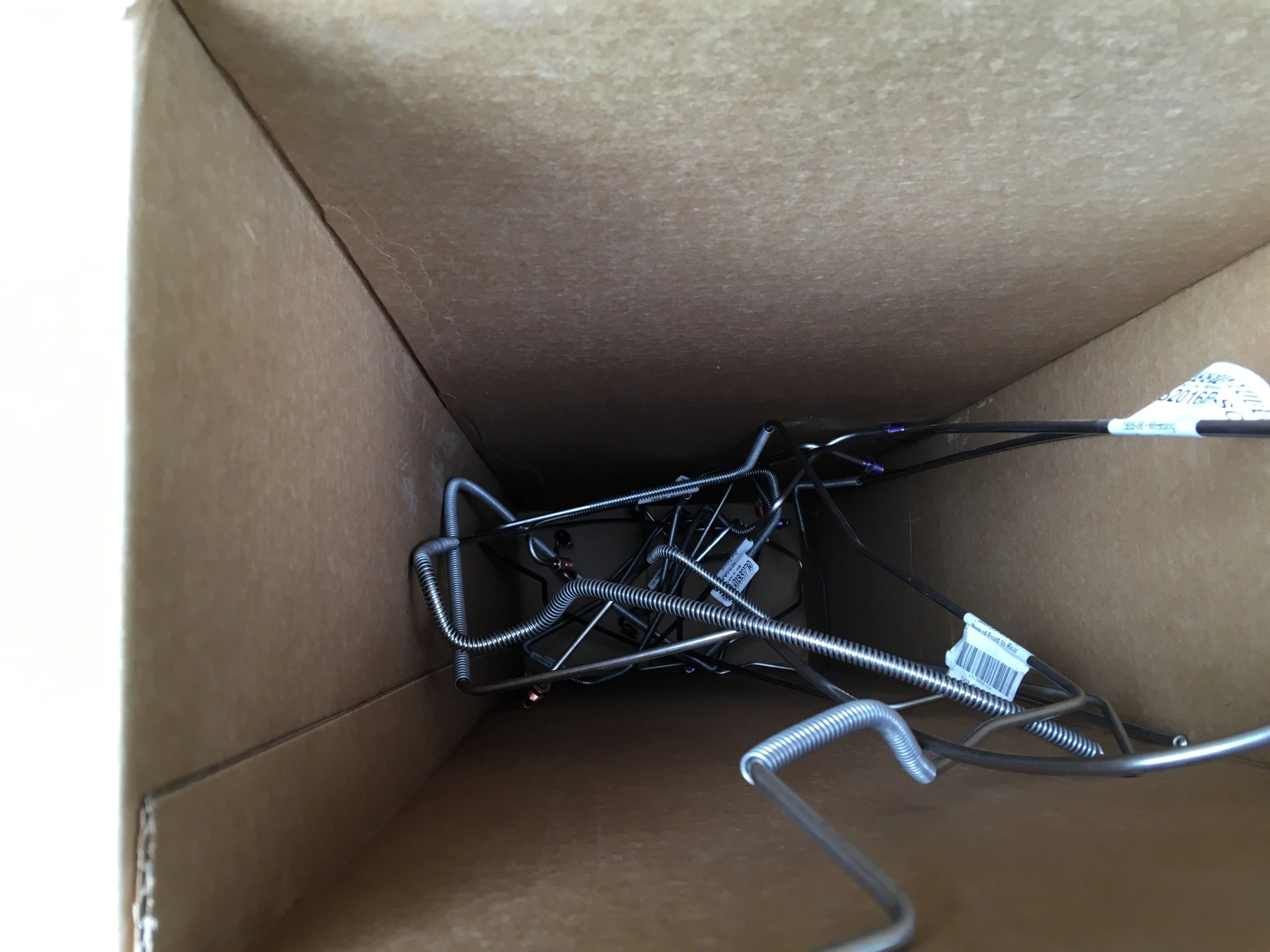 image.webp