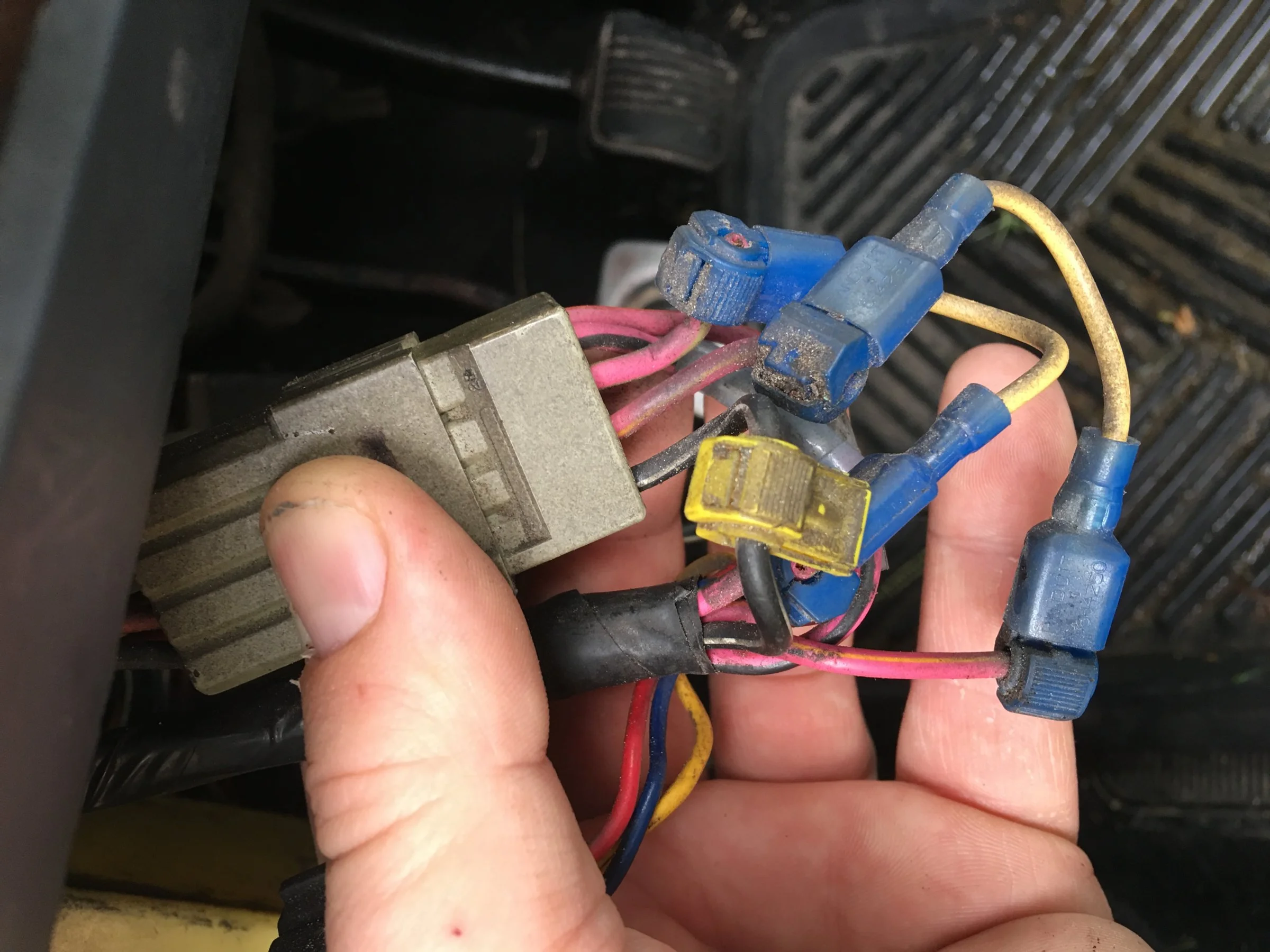 image.webp