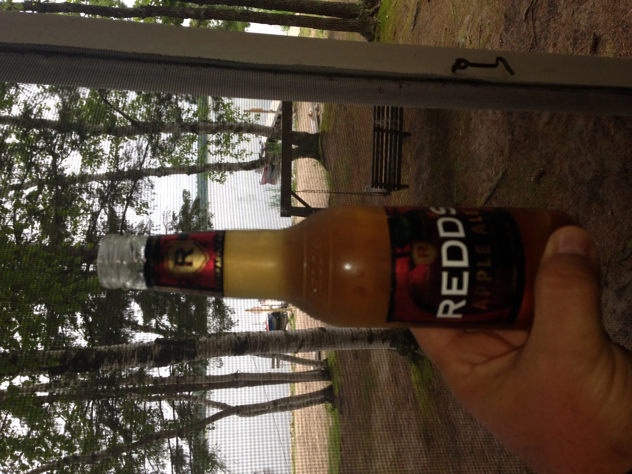 image.webp