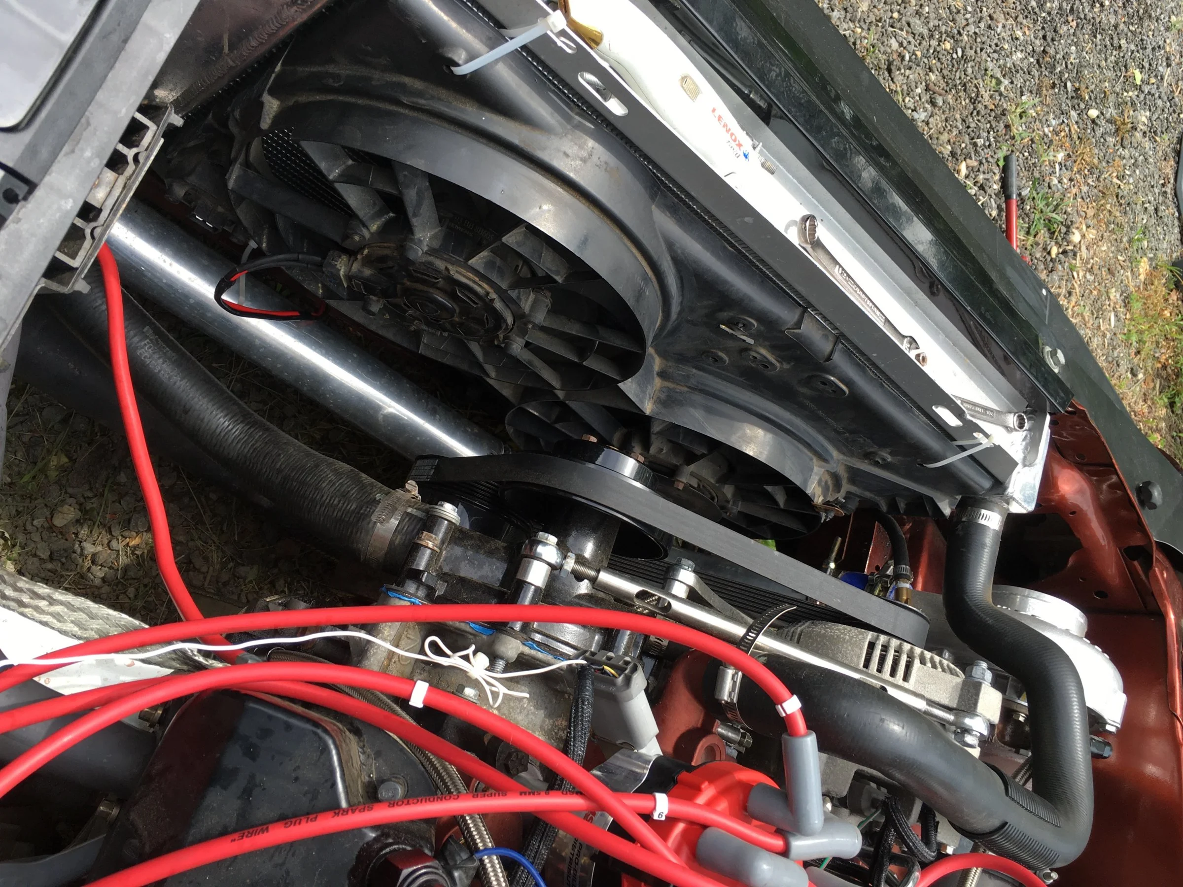 image.webp