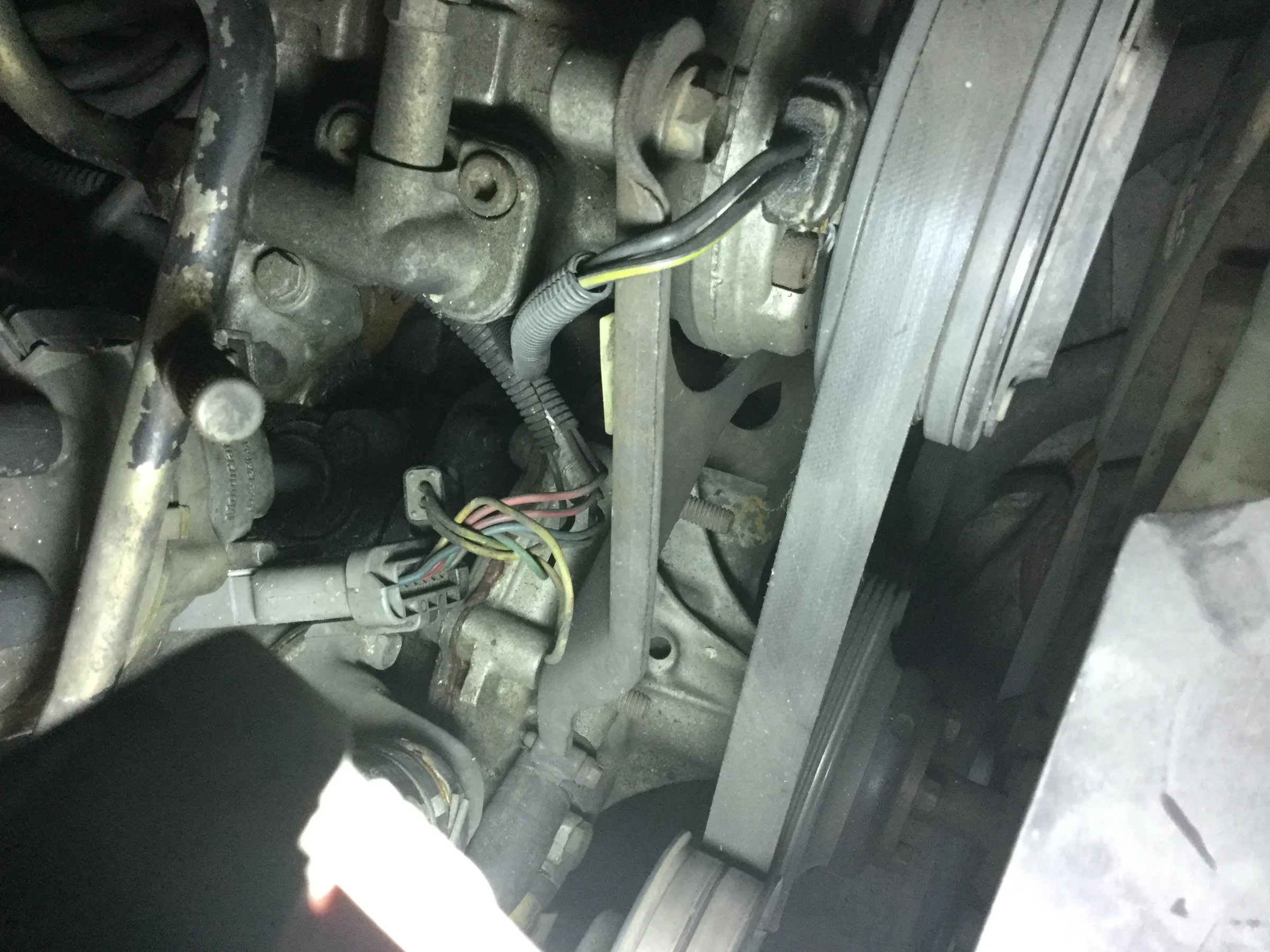 image.webp