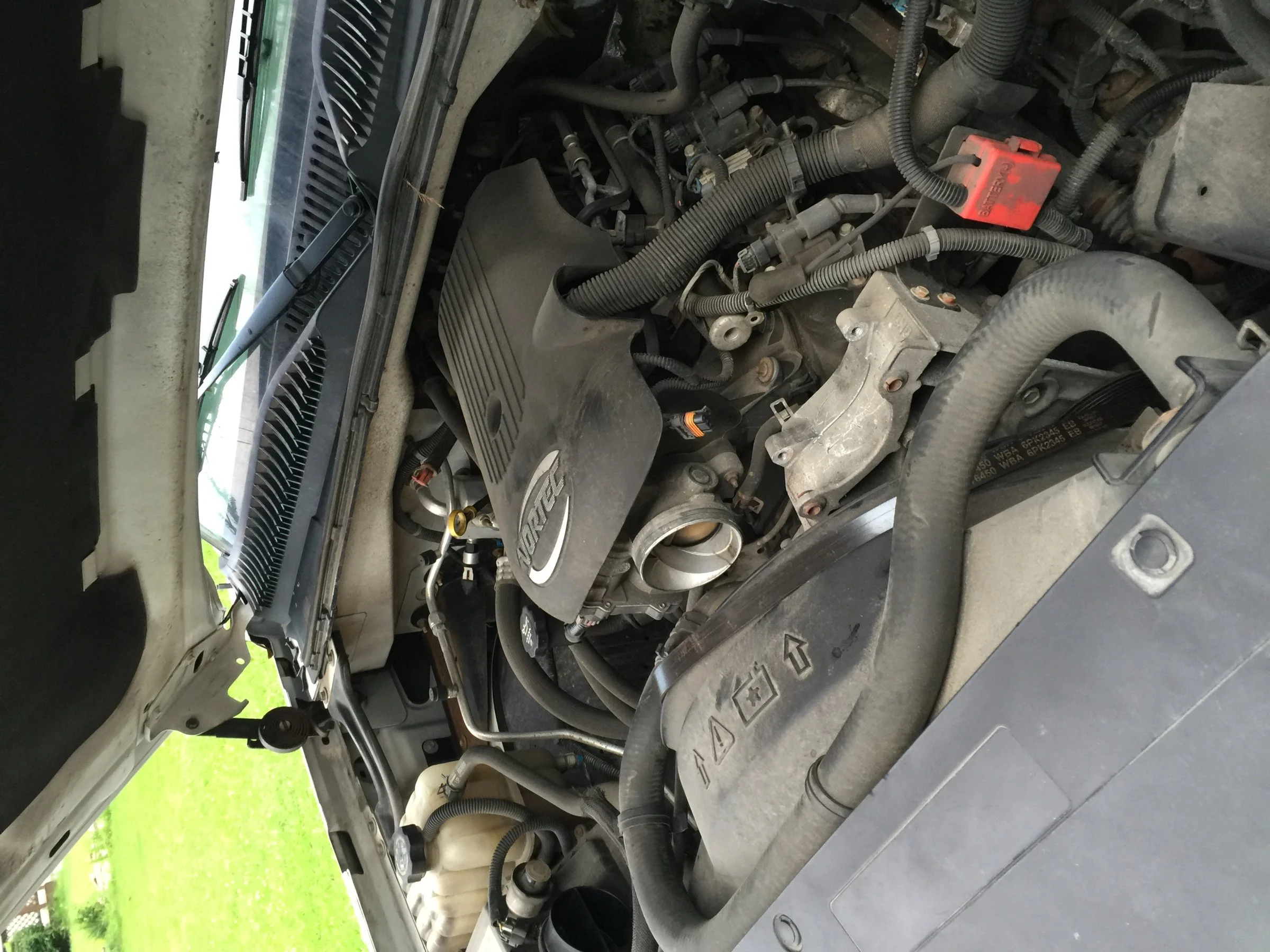image.webp