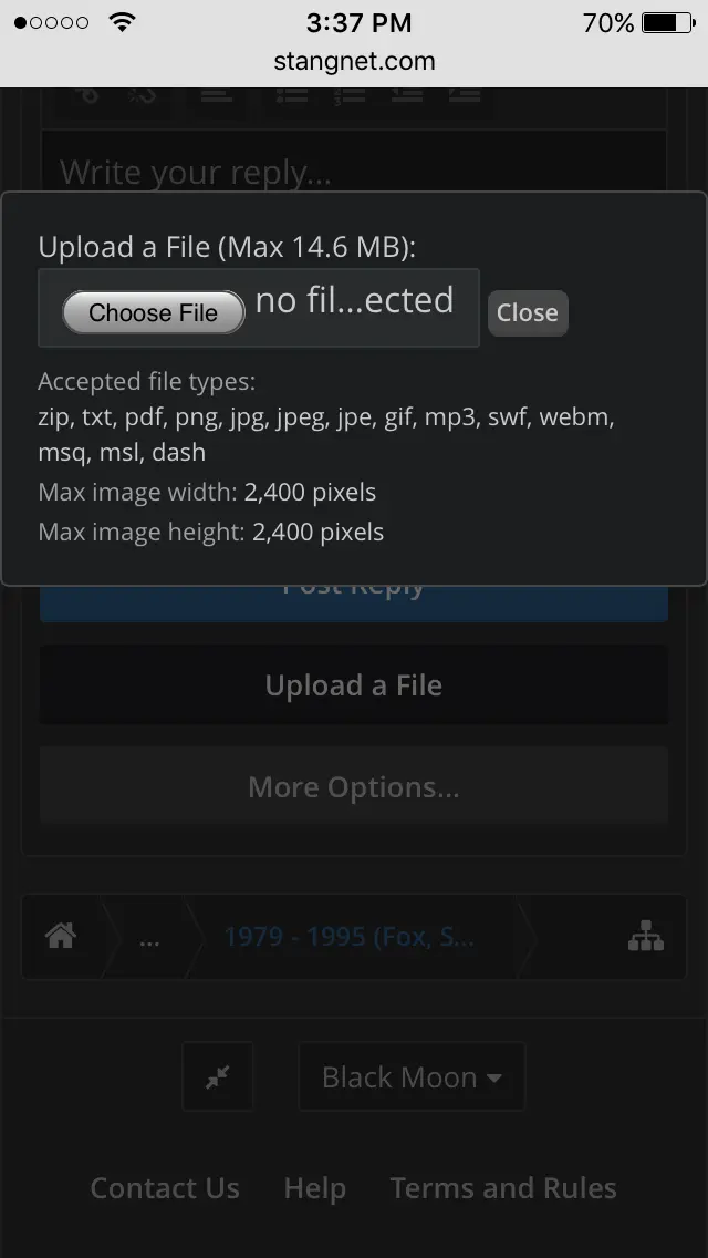 image.webp
