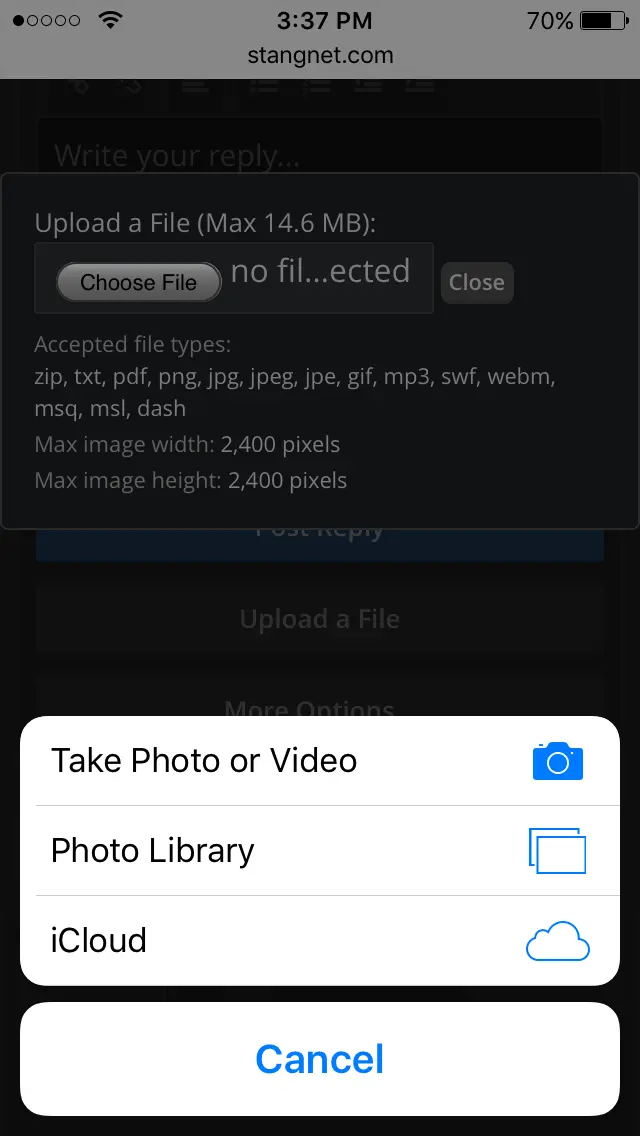 image.webp