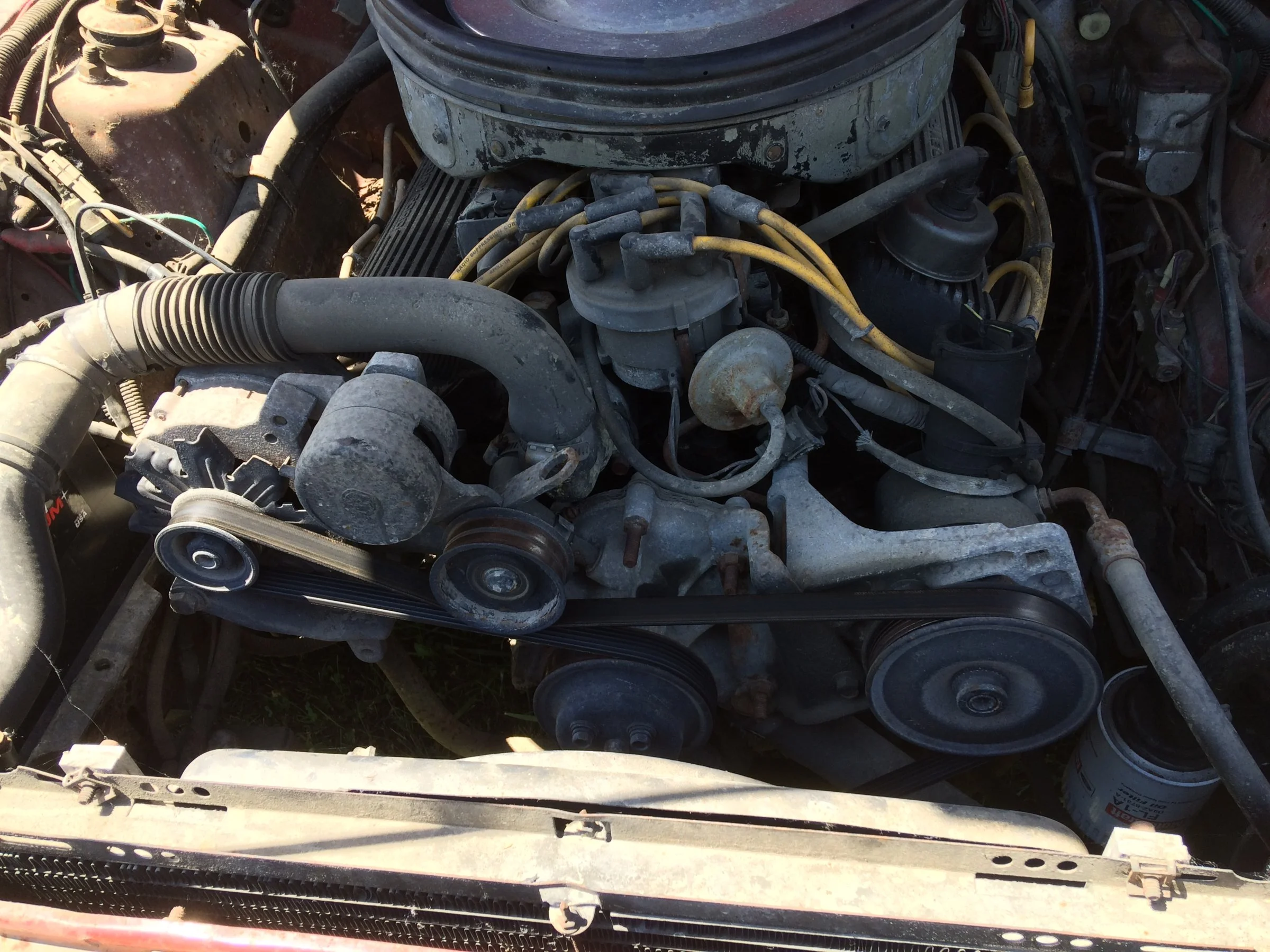 image.webp