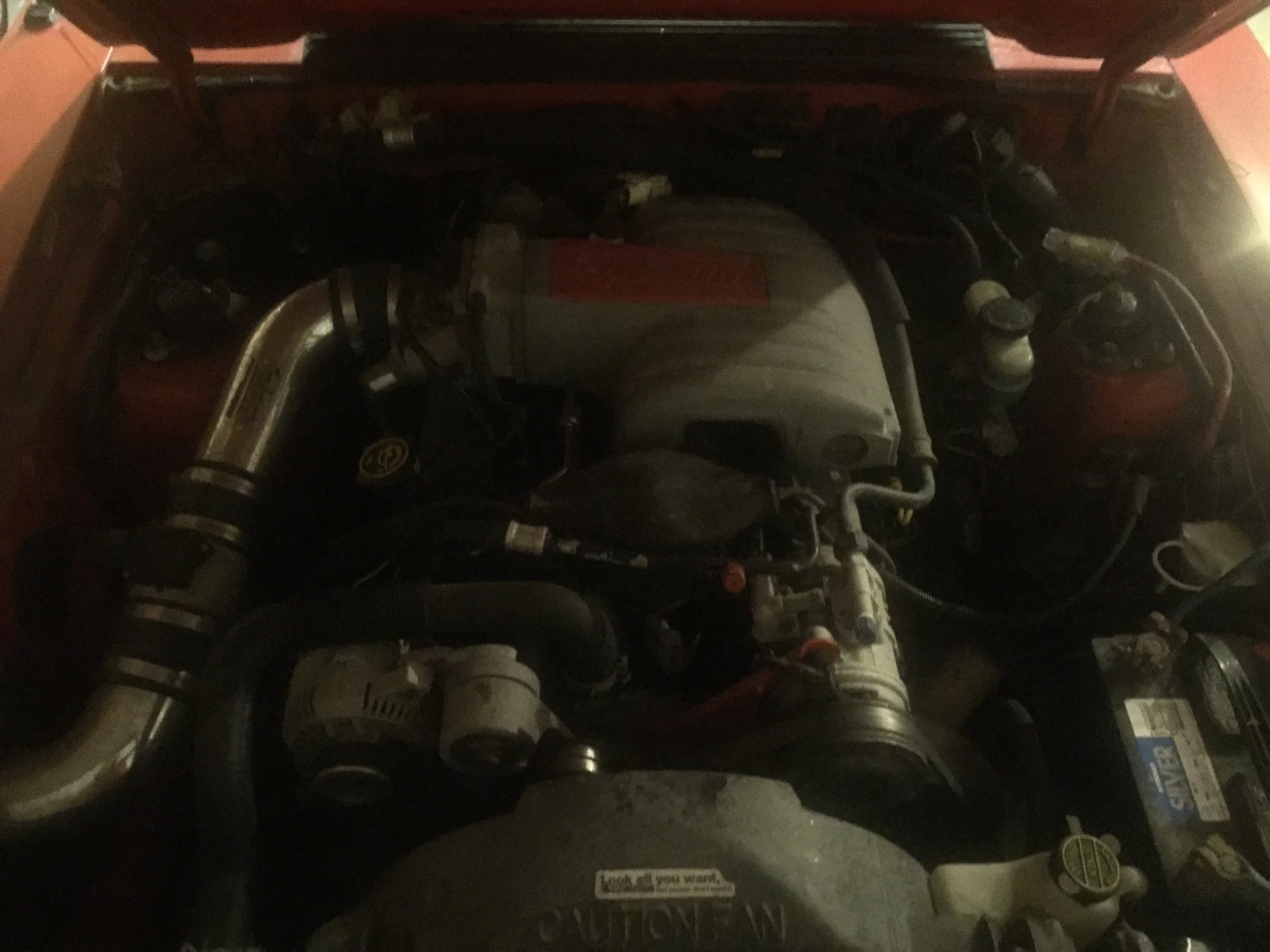 image.webp