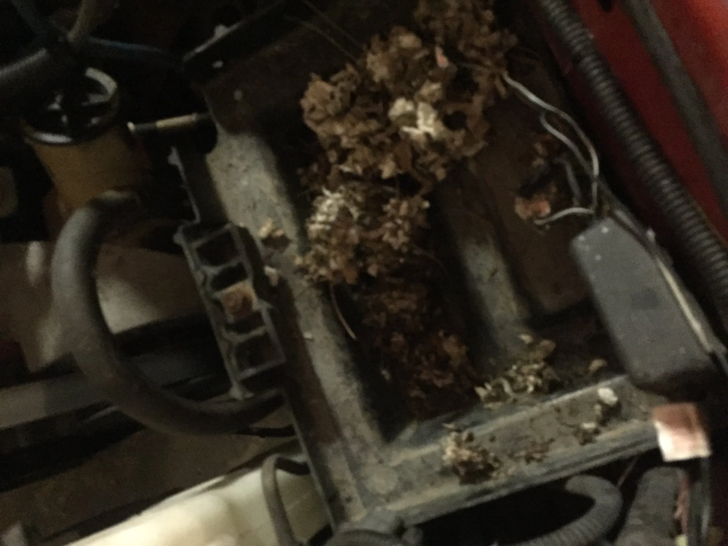 image.webp