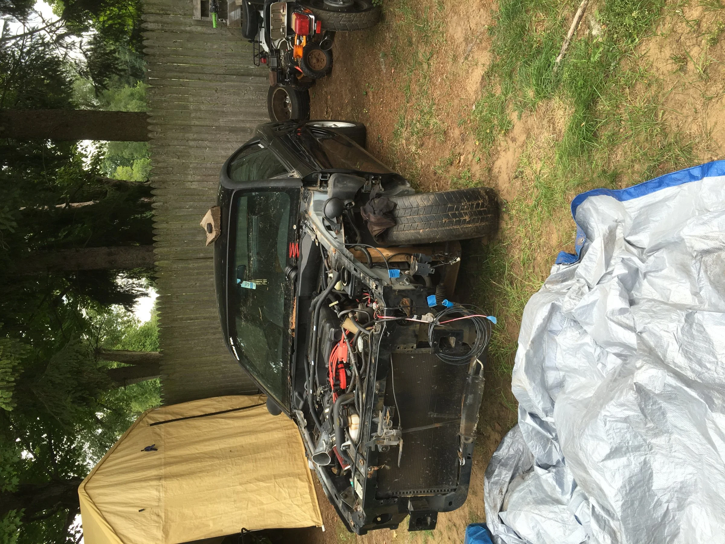 image.webp