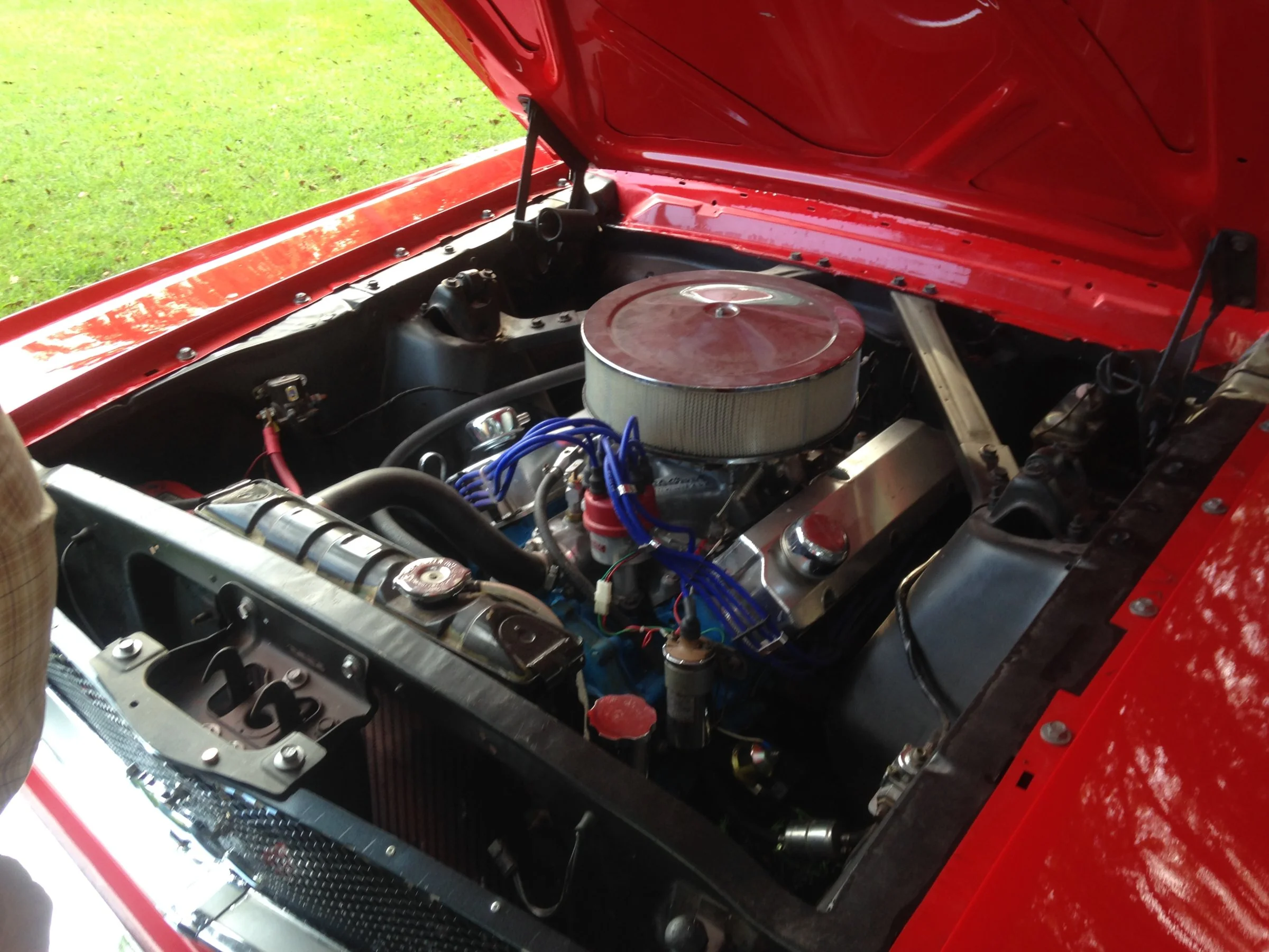 image.webp