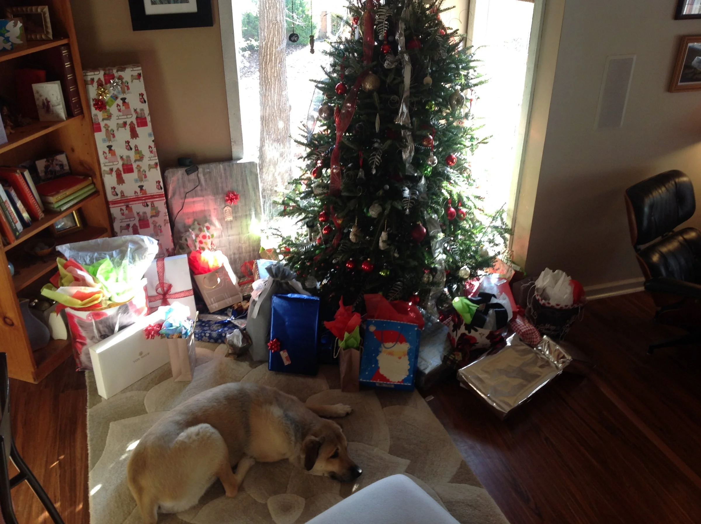 image.webp