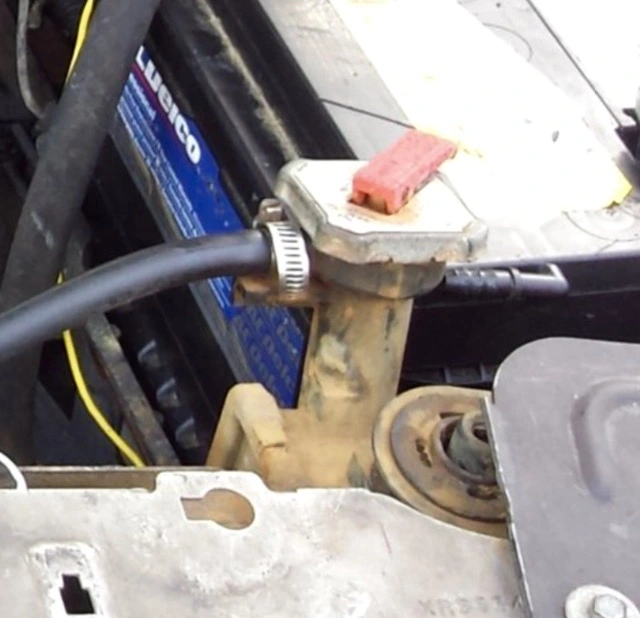 image.webp