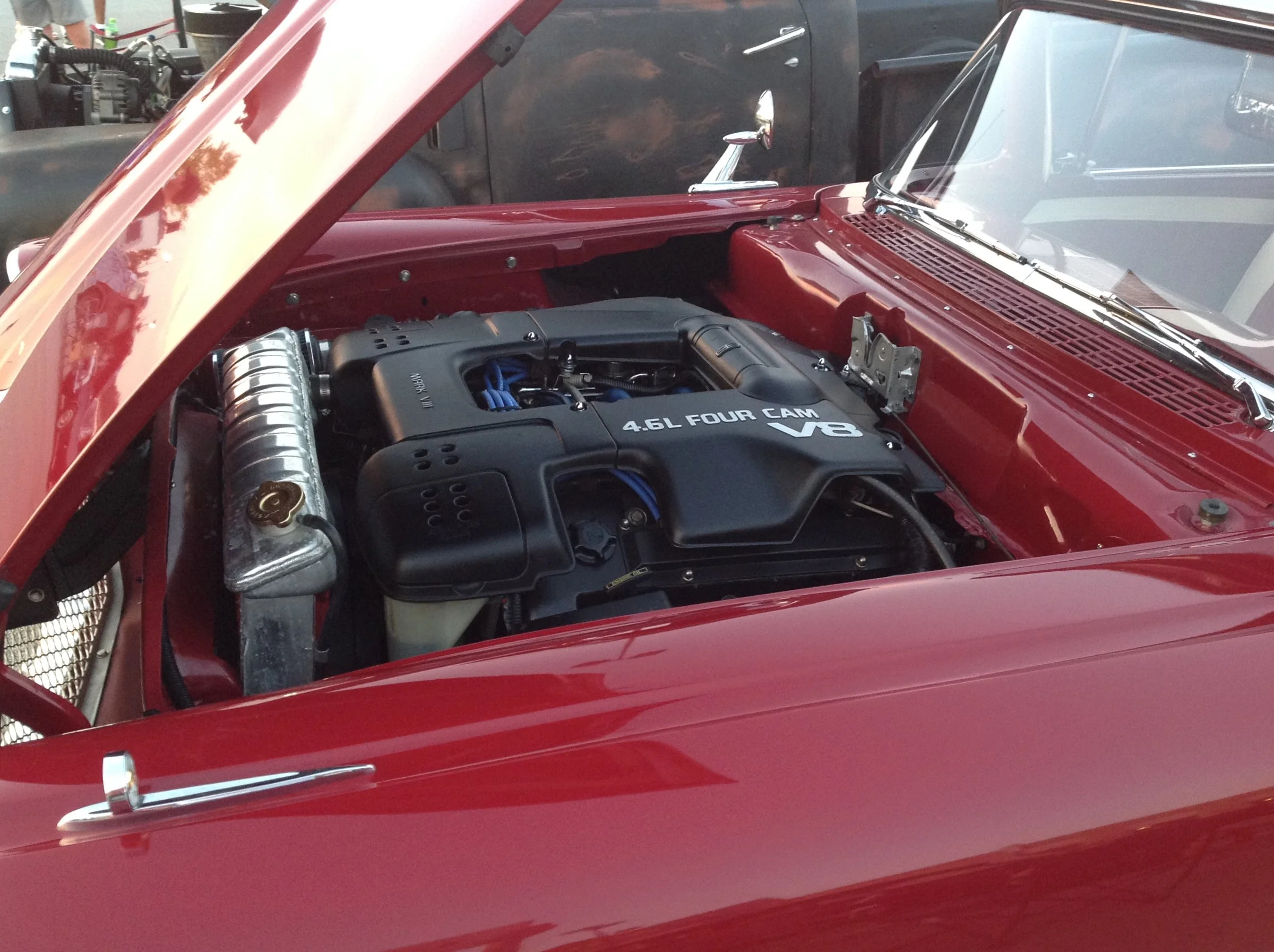 image.webp