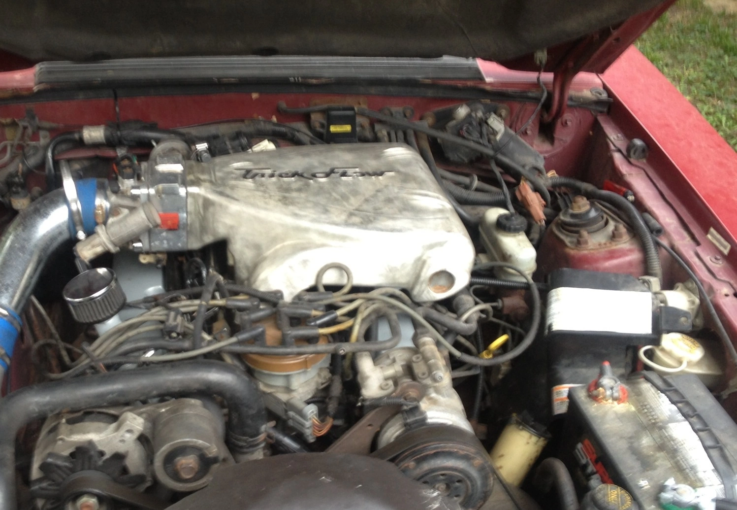 image.webp