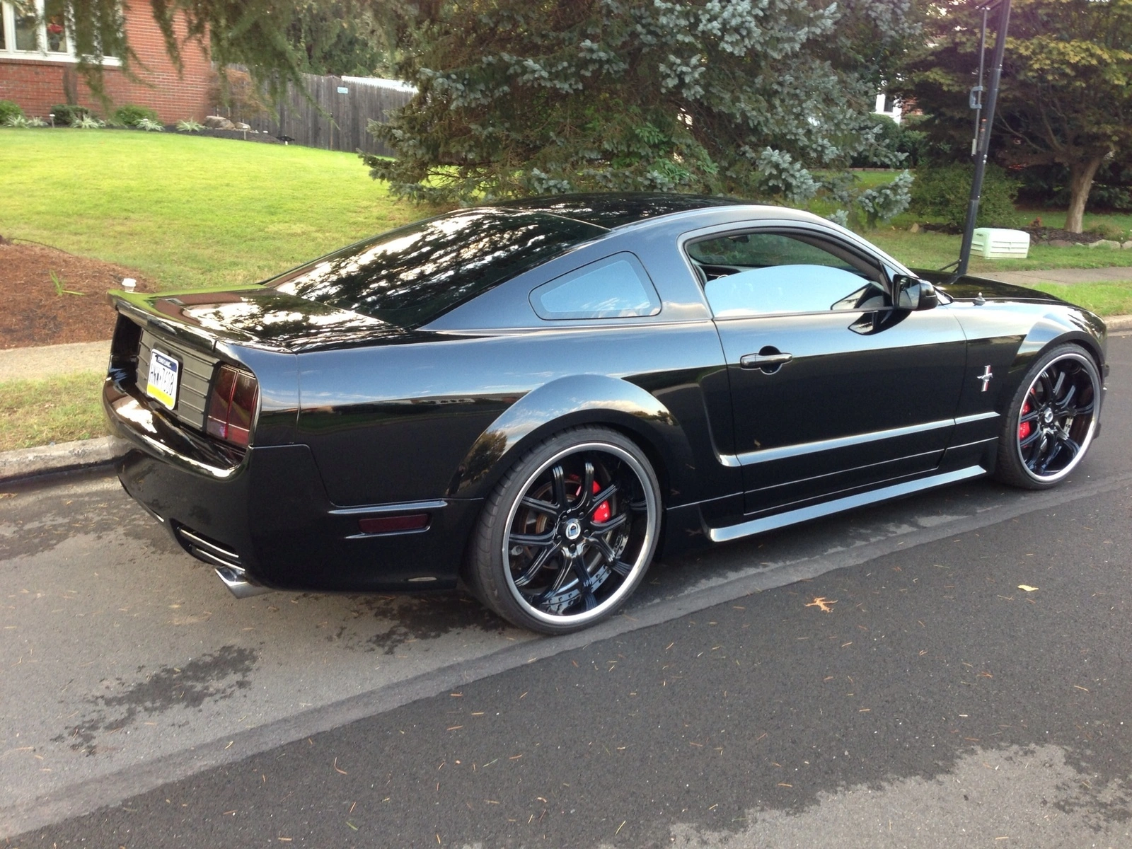 image.webp