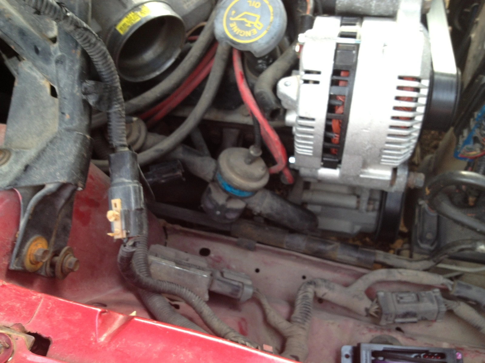 image.webp