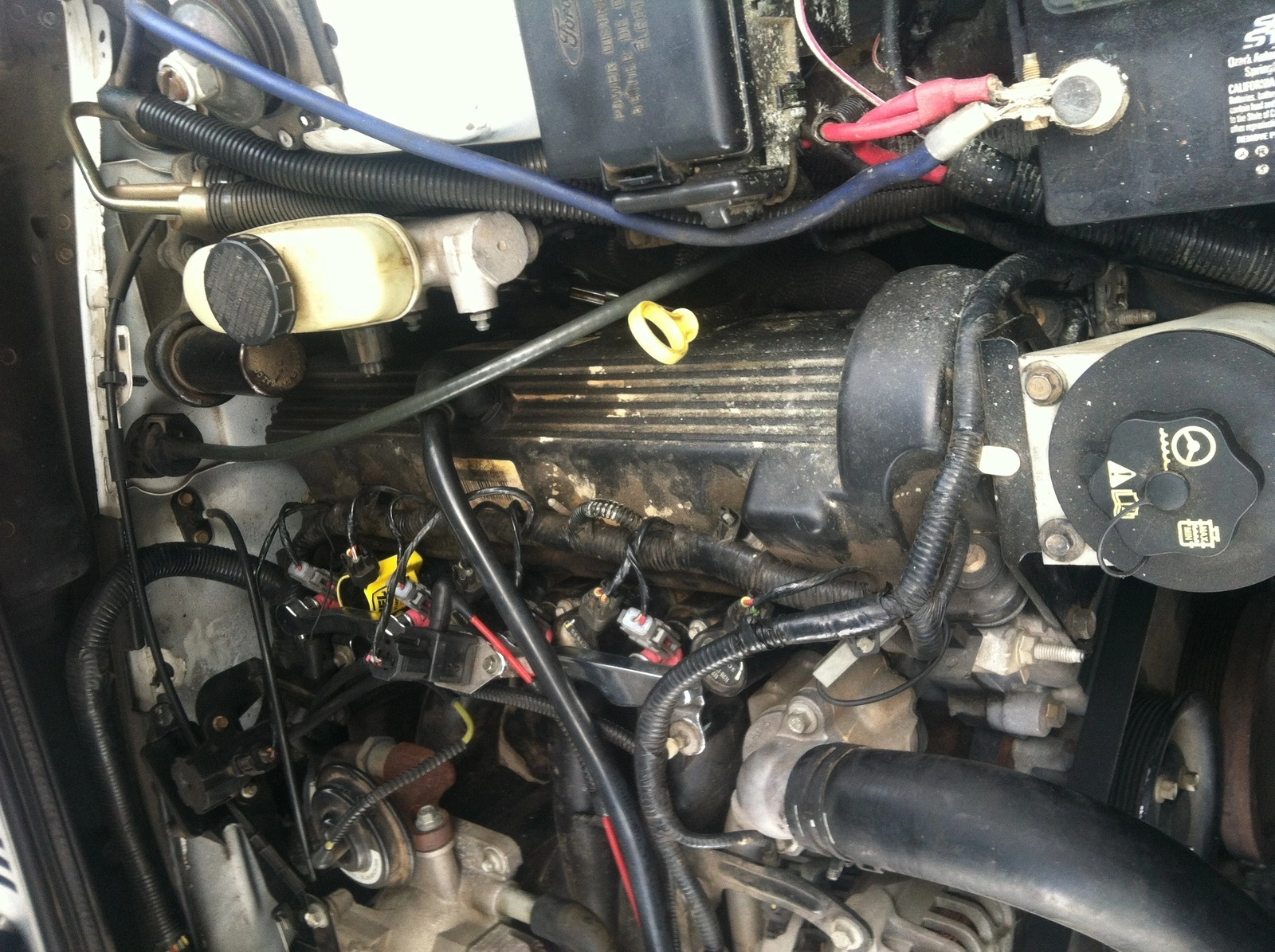 image.webp