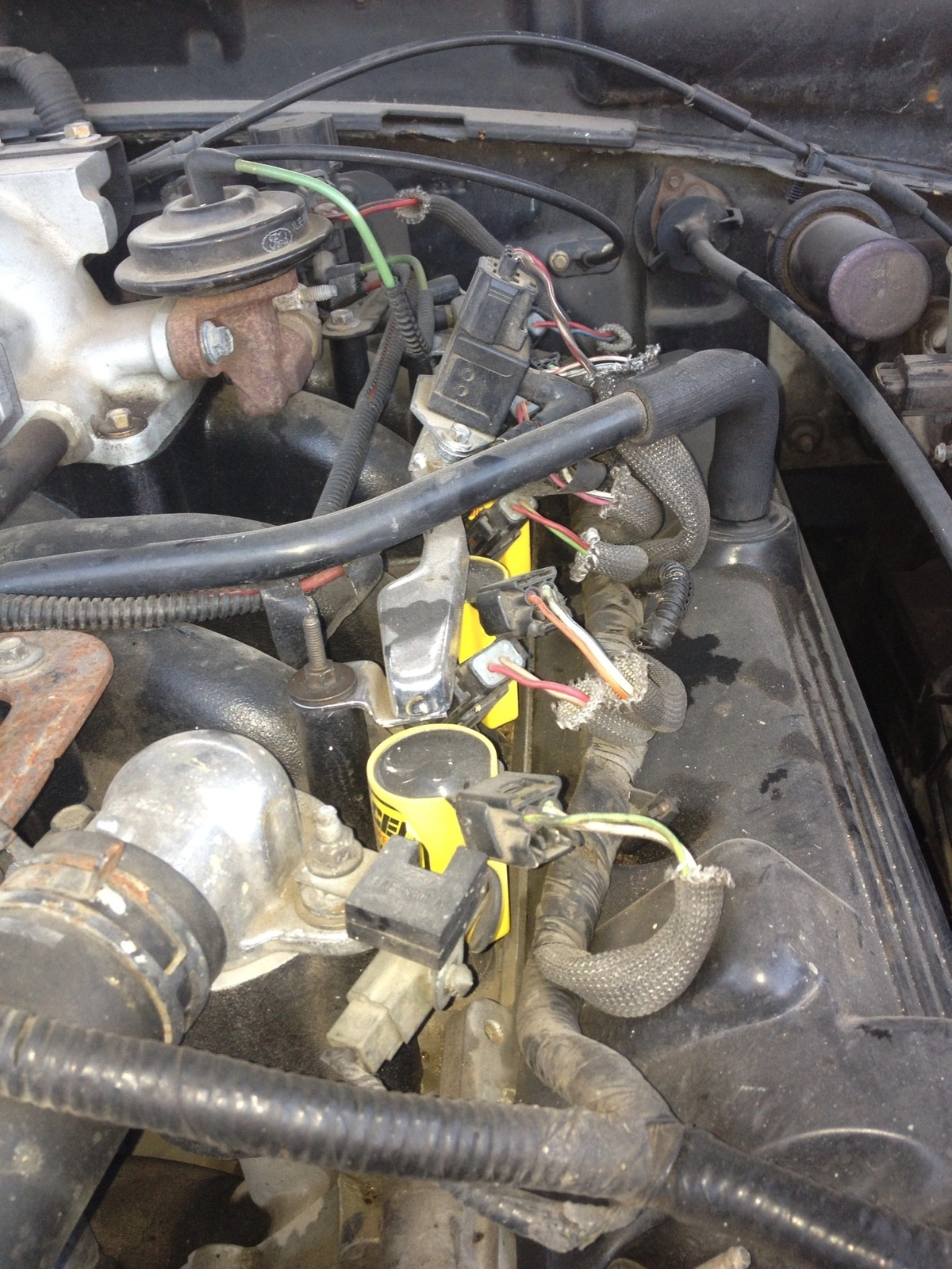 image.webp