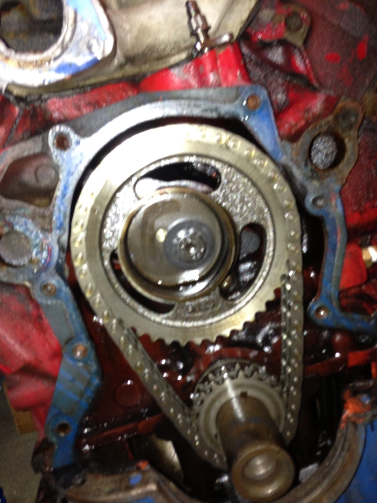 image.webp