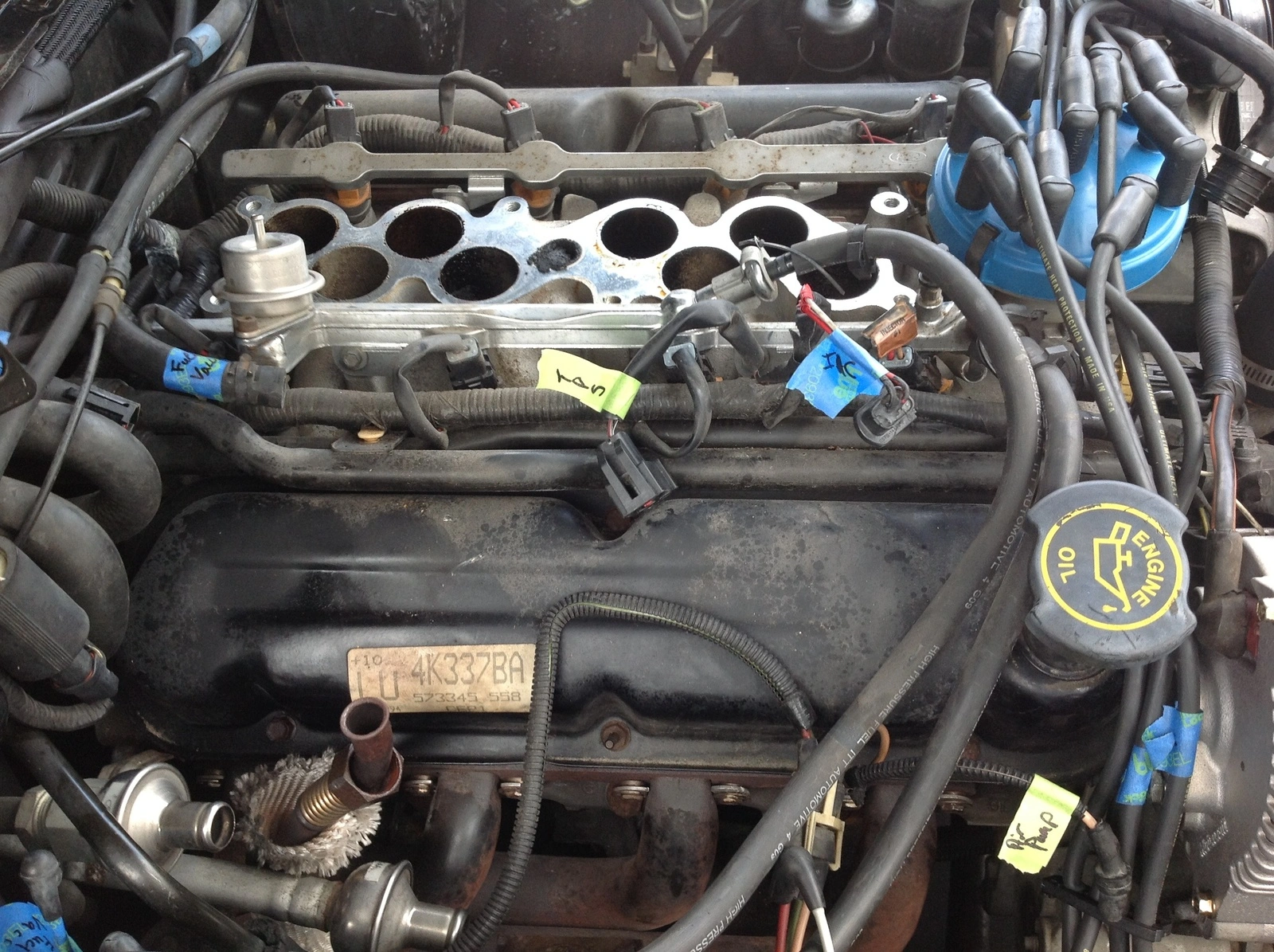 image.webp