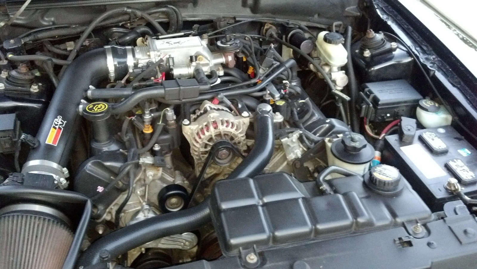 image.webp