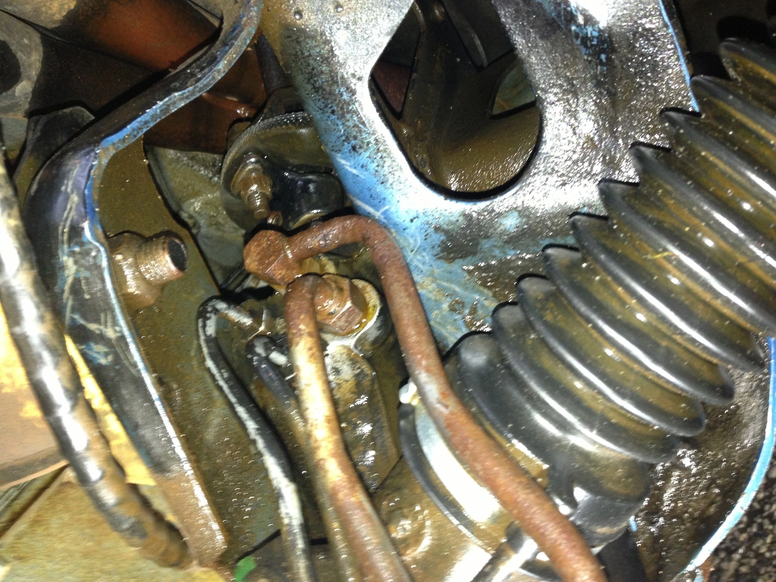 image.webp