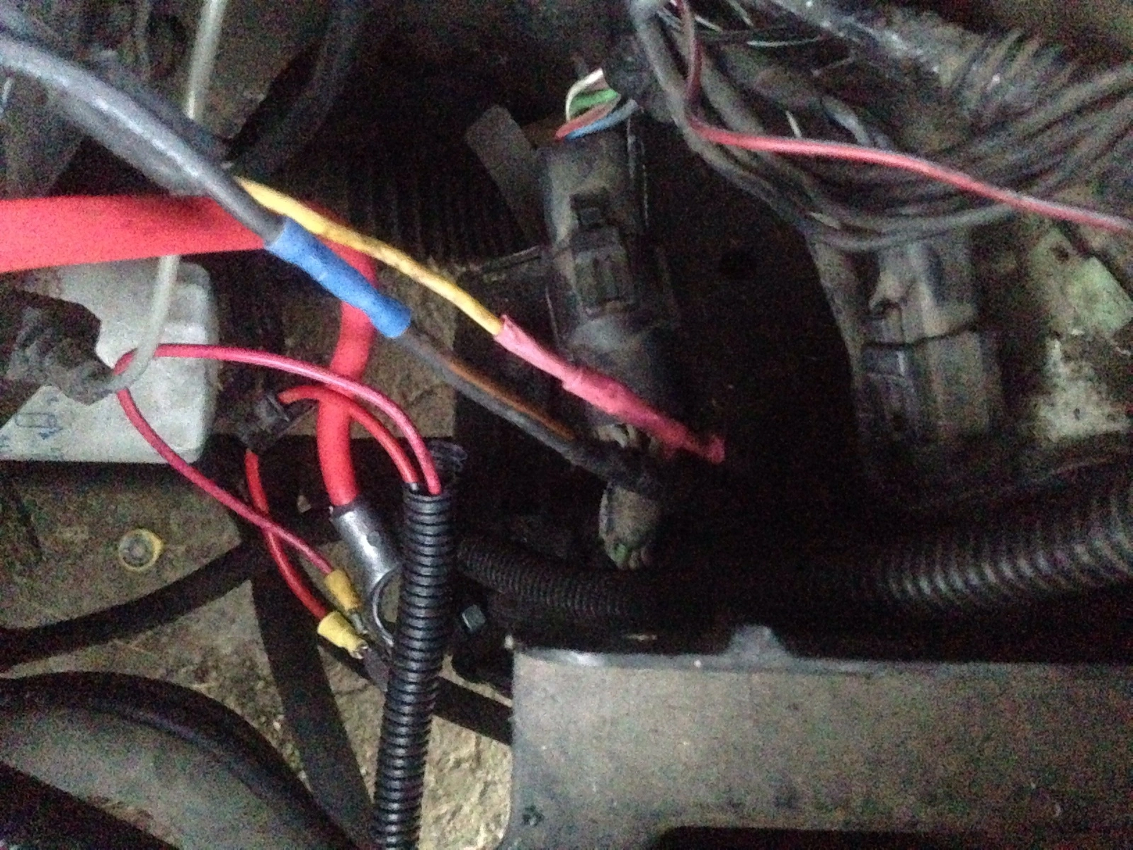 image.webp
