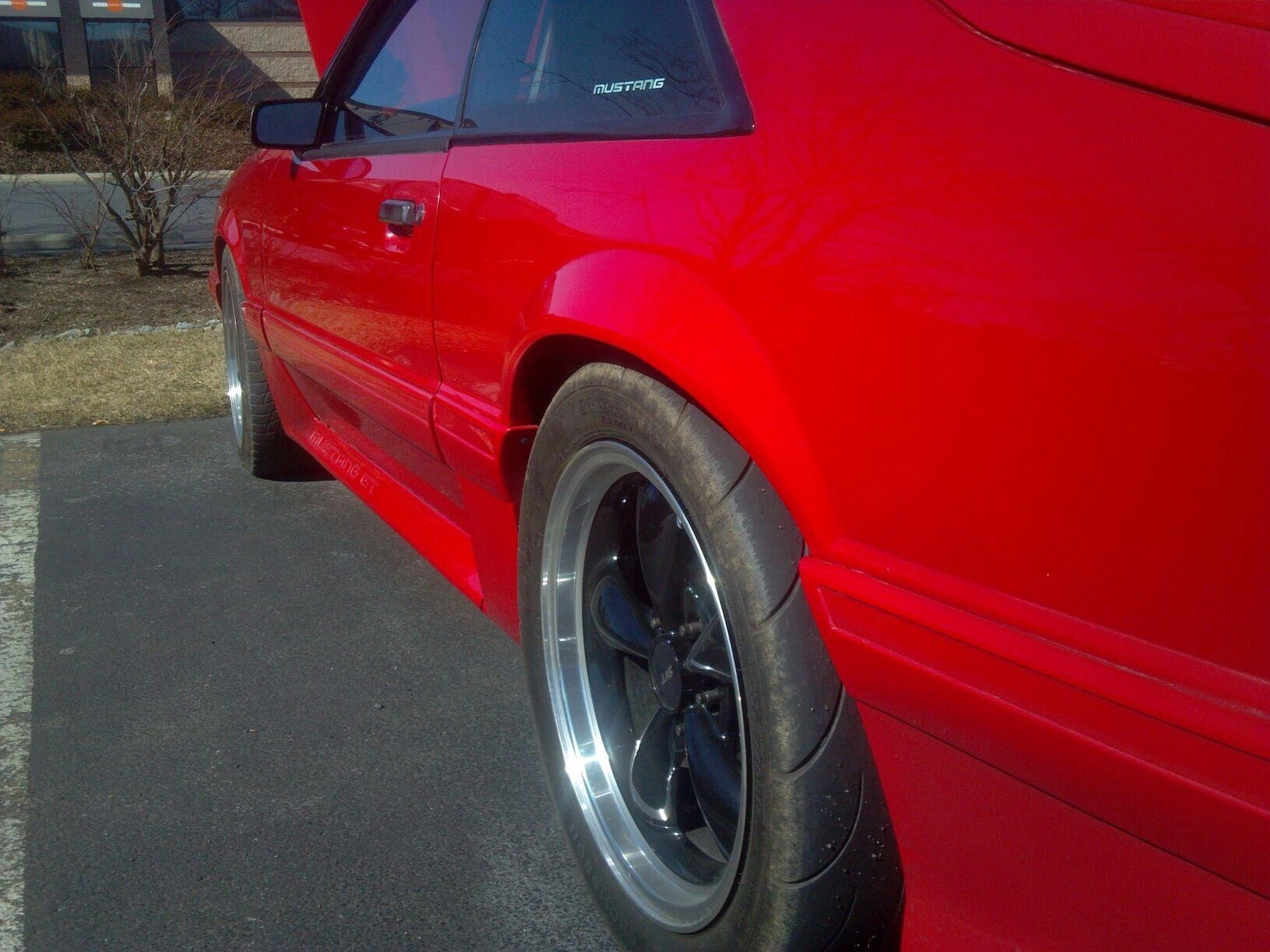 image.webp