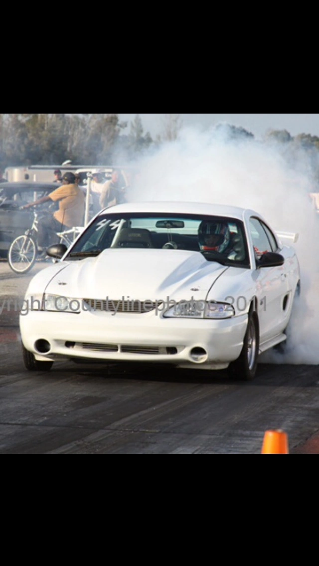 image.webp
