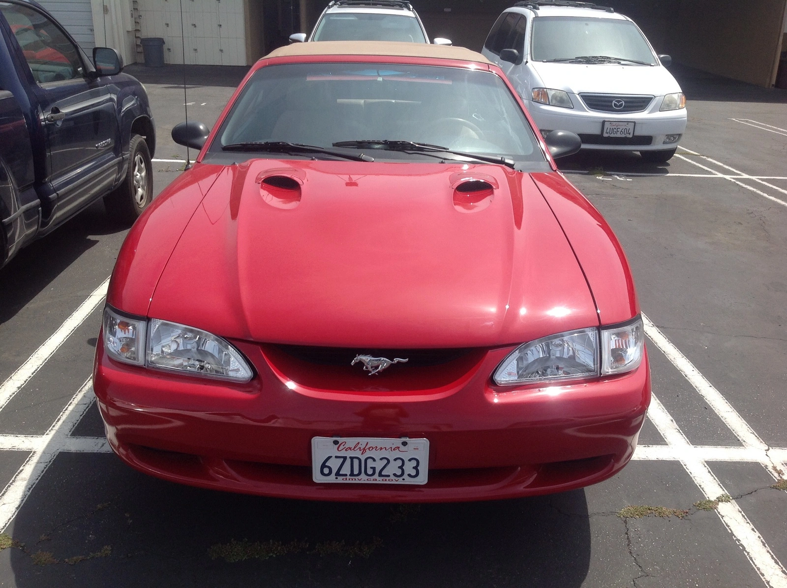 image.webp