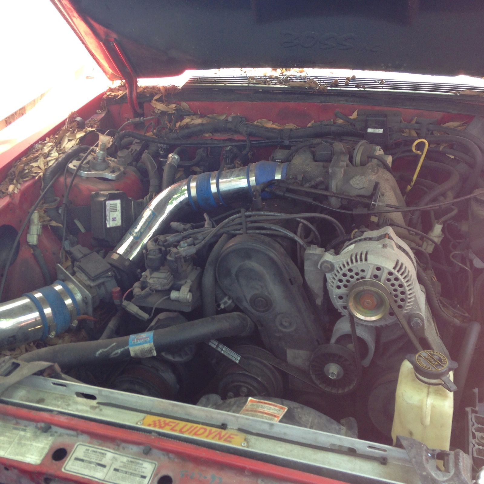 image.webp