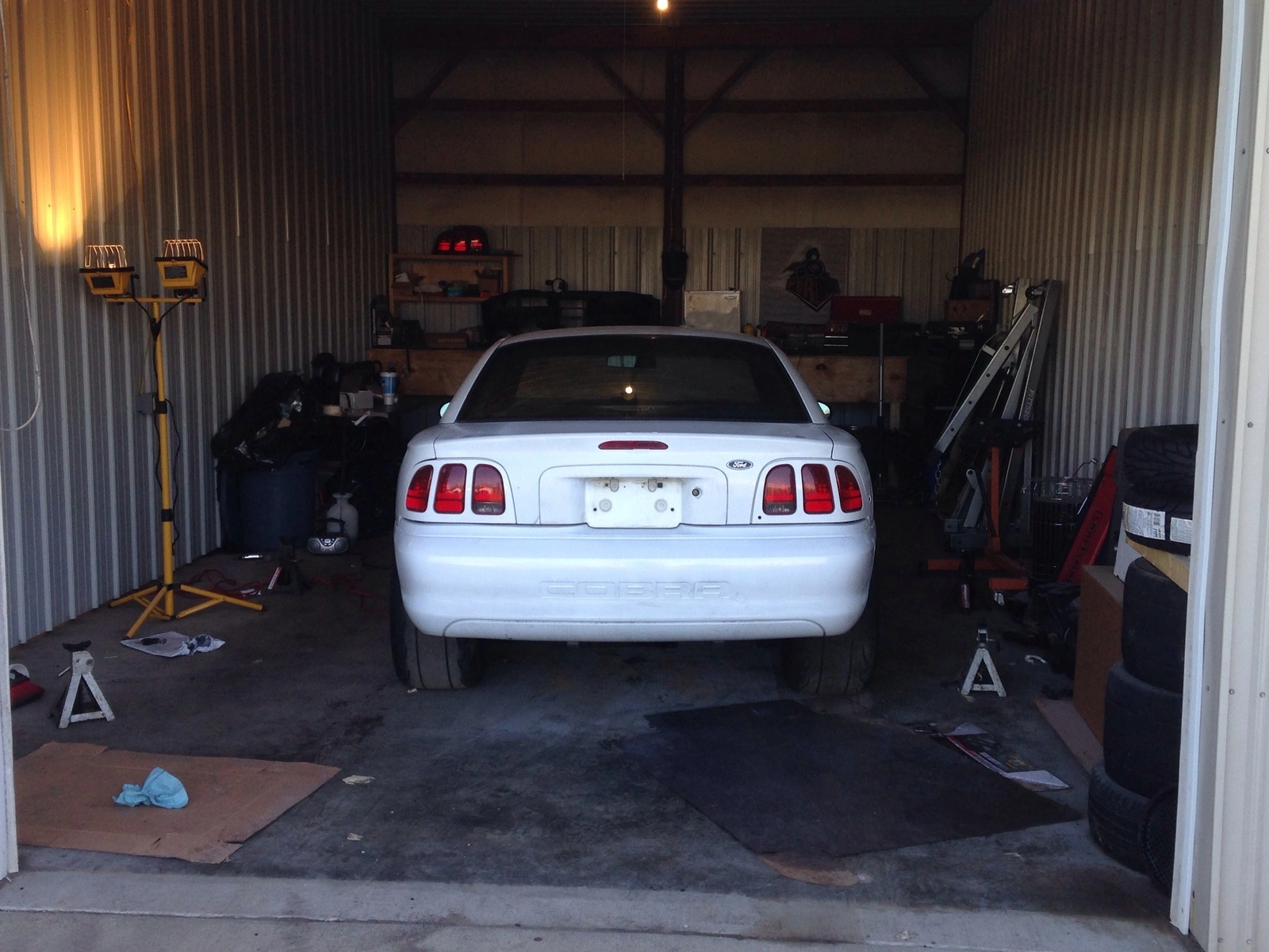 image.webp