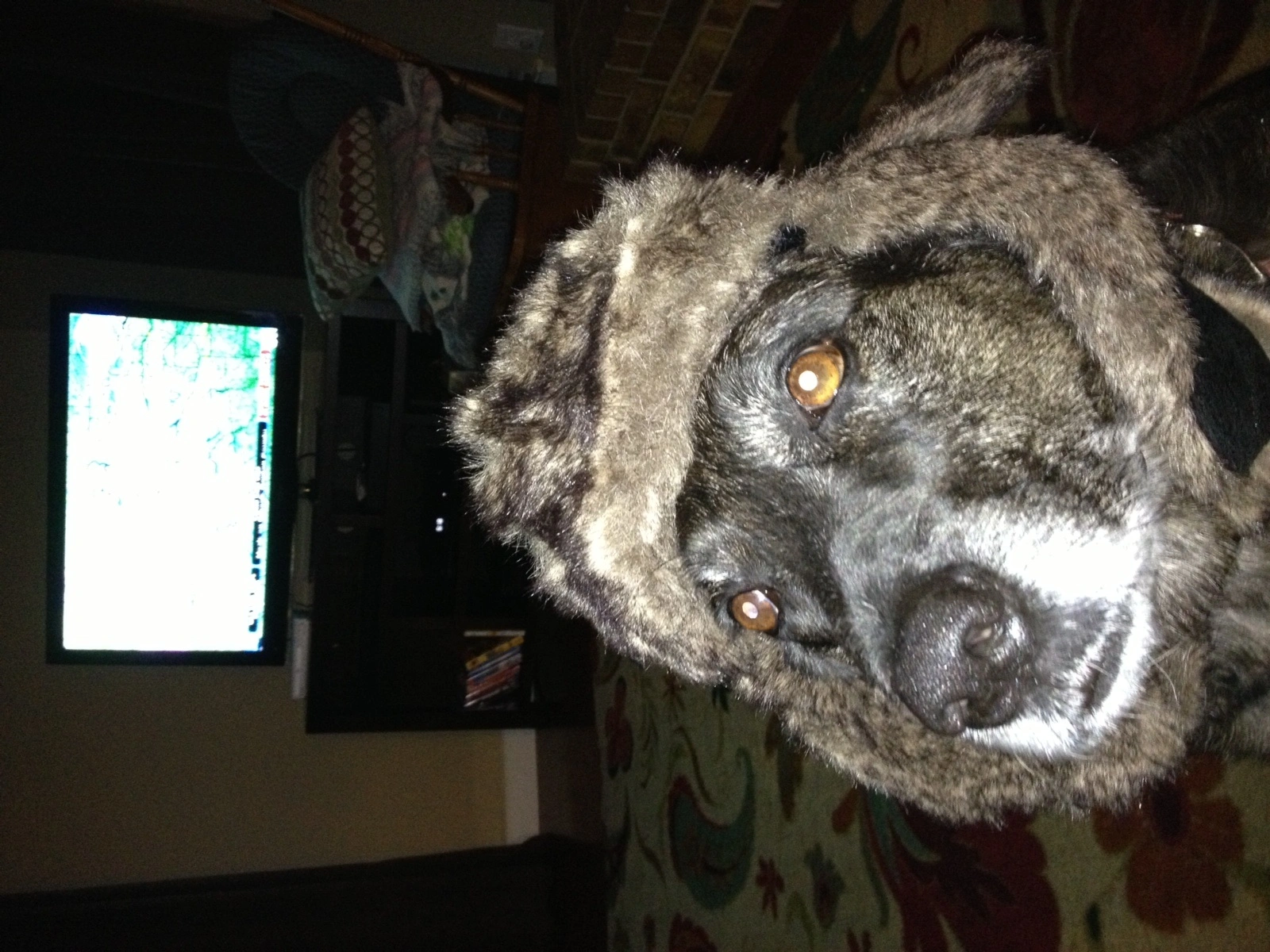 image.webp