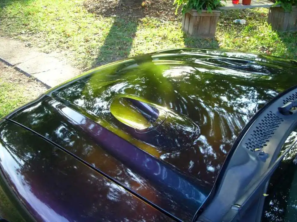Image00002-1.webp