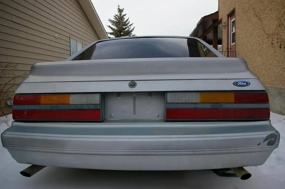 IMAGE005.webp