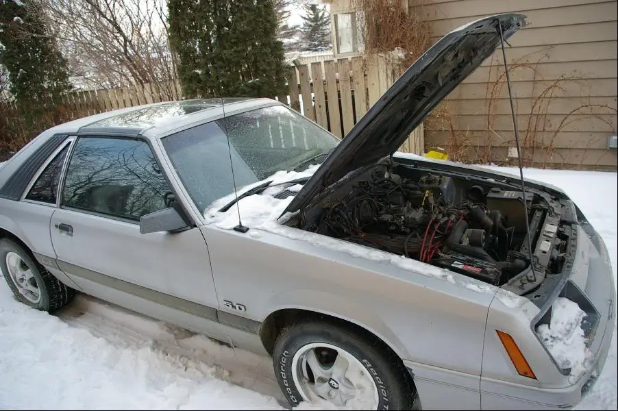 IMAGE009.webp