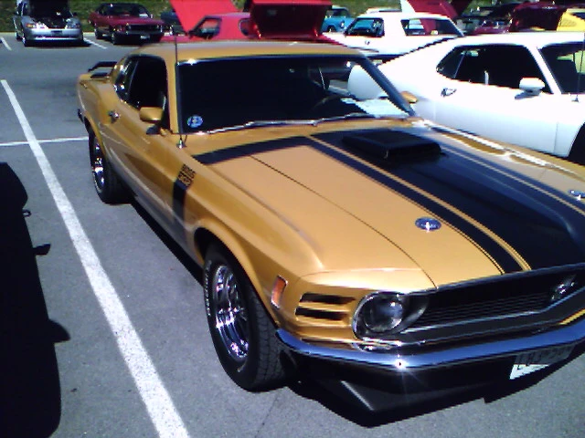 image020jq7.webp