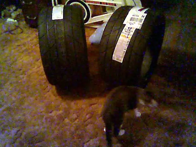 Image024_edited.webp