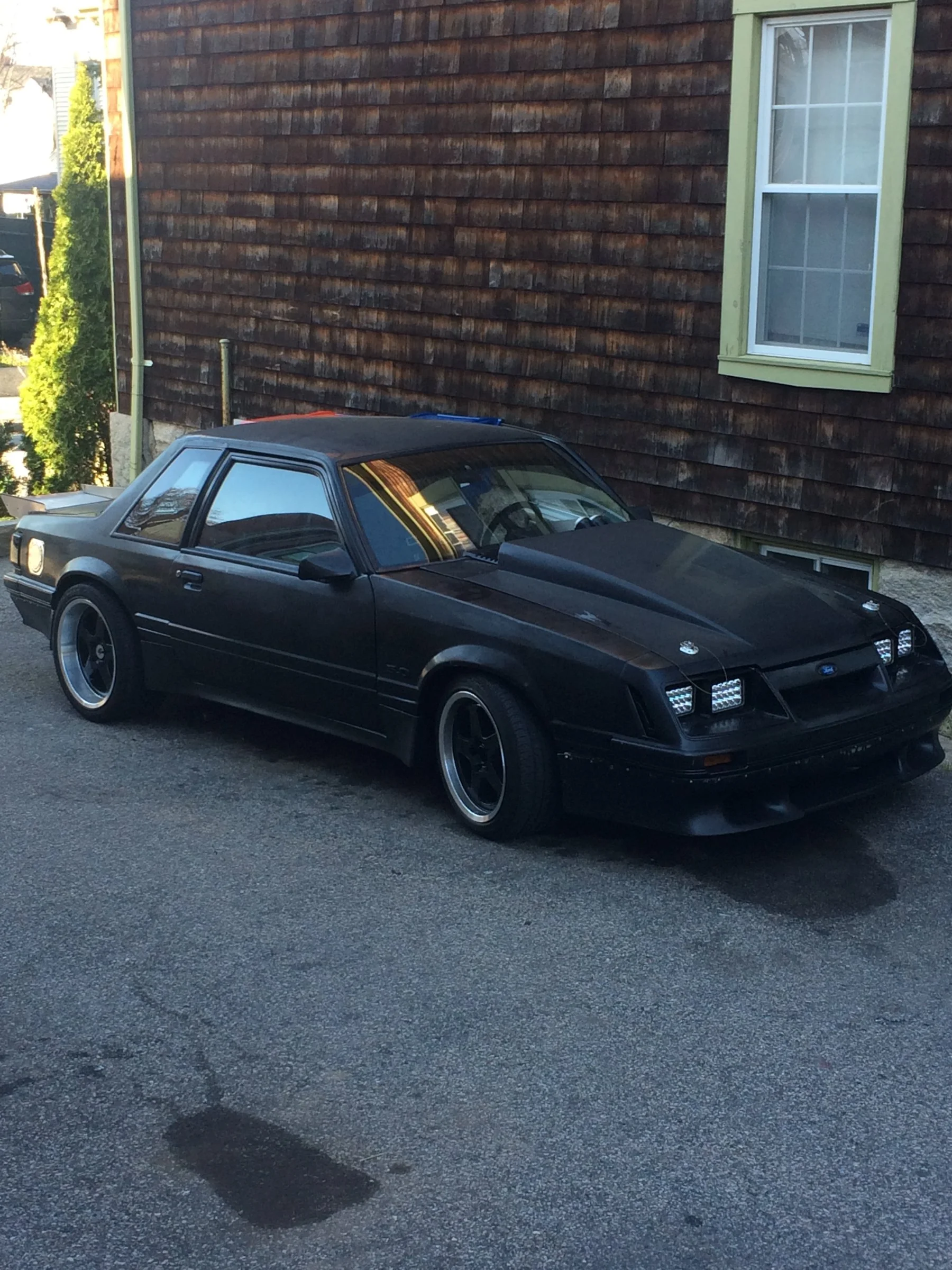 image1 (2).webp