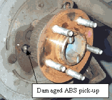 Image1.gif