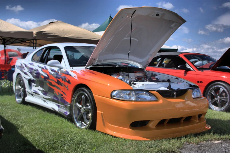 Image1.webp
