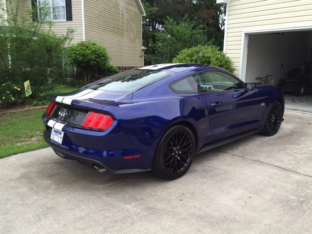 image1.webp